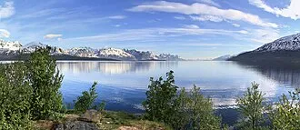Lyngen